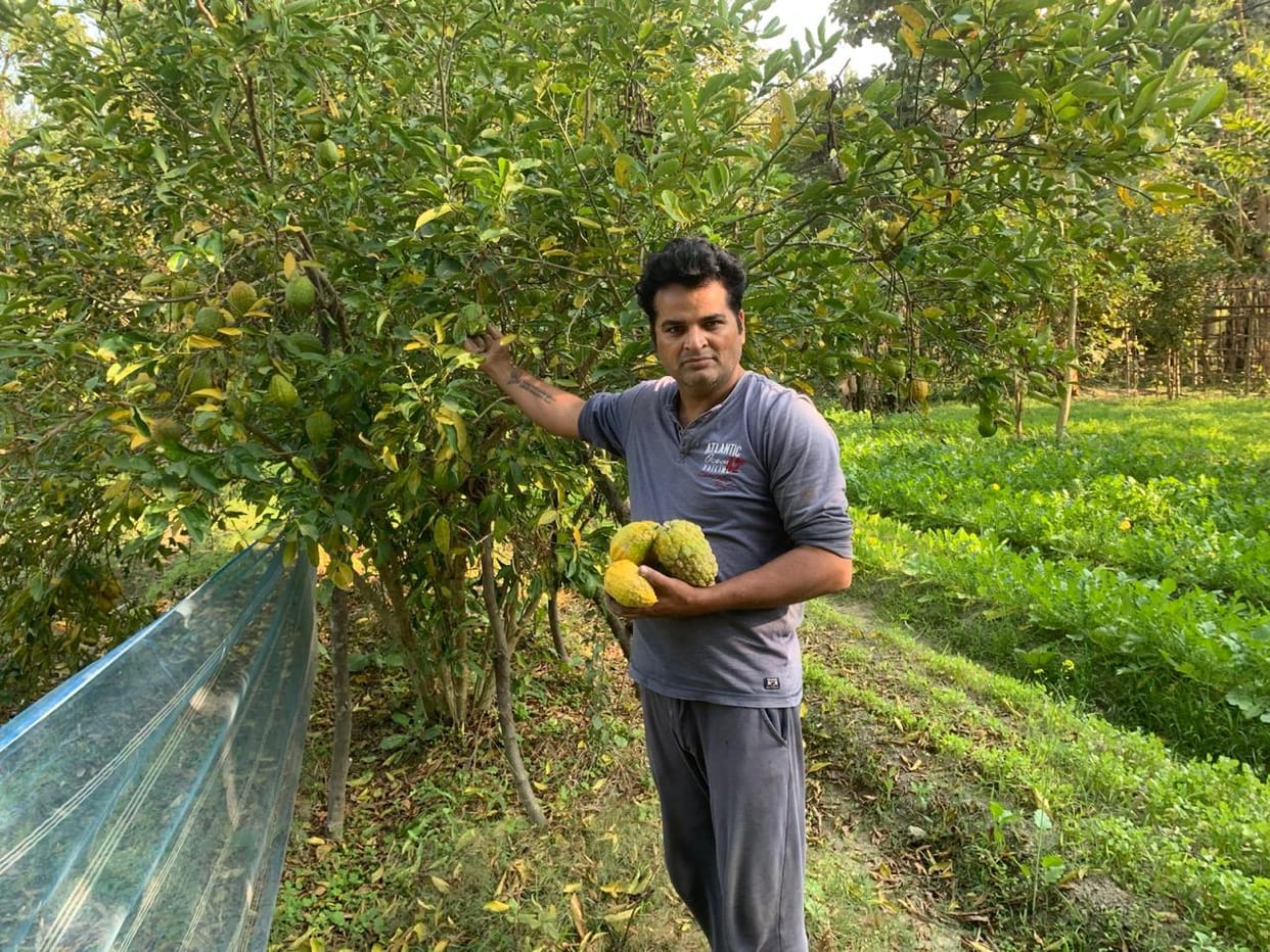 Cashews and Kashmiri apples are being grown in Siswan due to the efforts of Navratna.