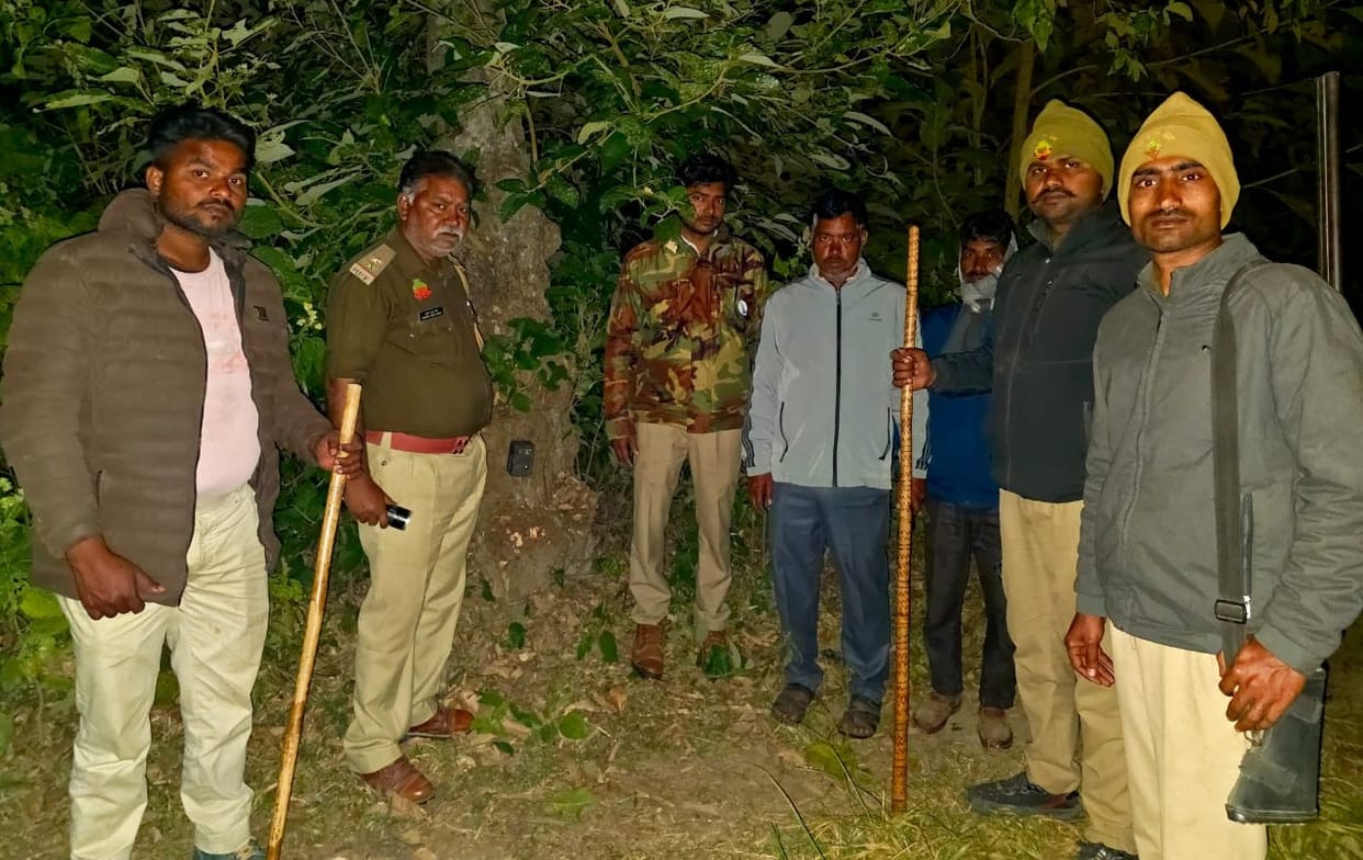 Tiger monitoring started with four cameras and a drone