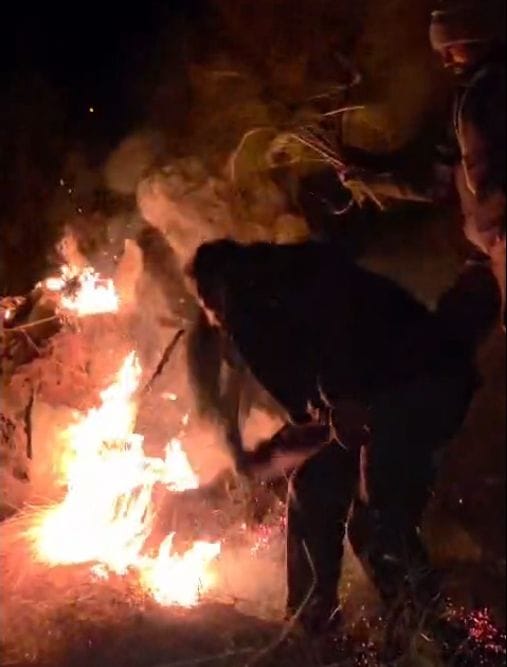 Fire broke out in Dansa's Shikari Dhar forest, destroying forest wealth worth lakhs