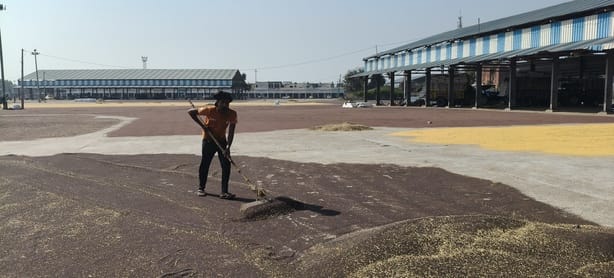 Farmers are worried as they are not getting a fair price for their mustard crop.