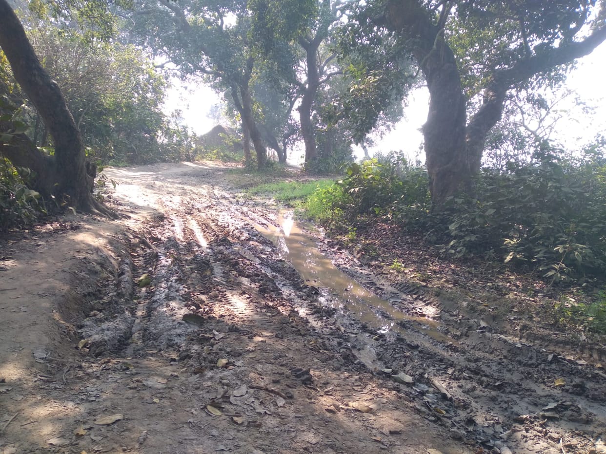 The road to Ikottarnath Temple is difficult... the system is testing the devotees.