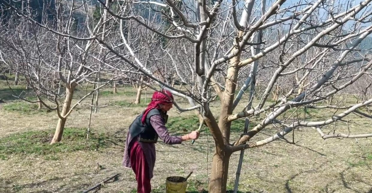 Abandoning chemical farming and adopting natural gardening techniques