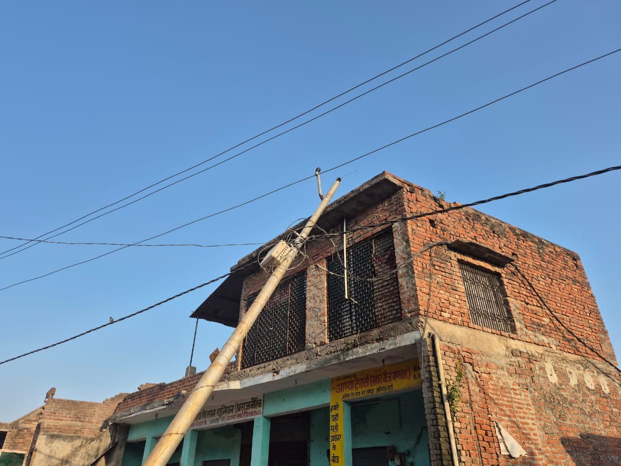 An electric pole fell on the roof of a house due to monkeys shaking it.