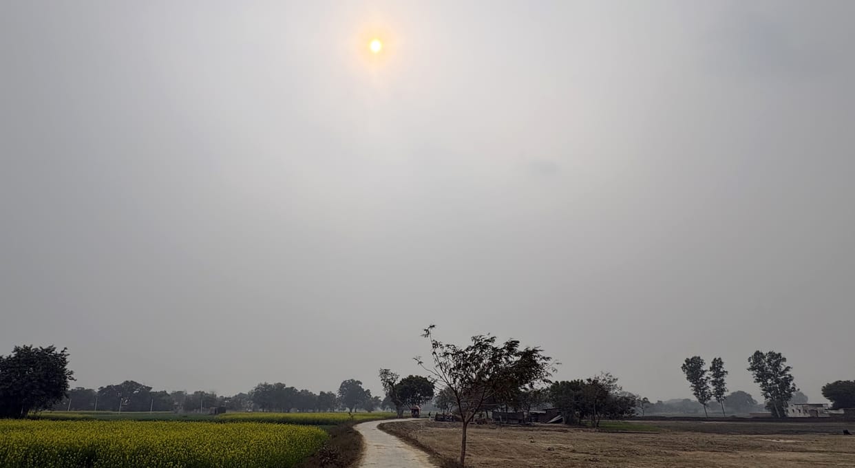 Temperature crosses 31.4 degrees, the sun is piercing in the afternoon