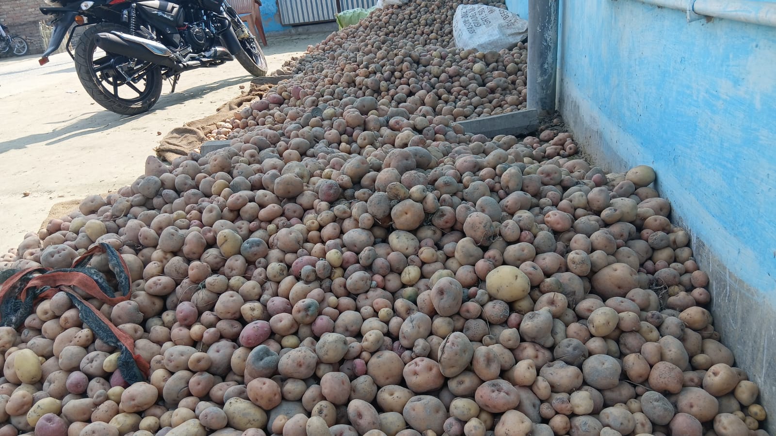 आलू का दाम कम होने से की किसान हुए परेशान