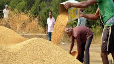 Balaghat News: Major Action in 2.79 Crore Paddy Scam, Case Filed Against Officials and Mill Operators