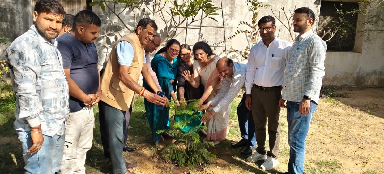 Plant trees in memory of ancestors: Rajesh Jhadli