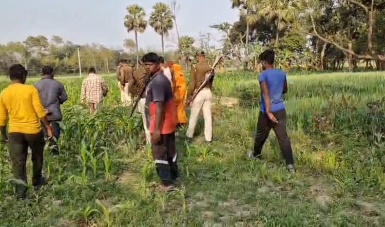 सहरसा में सनसनी: नवहट्टा से पांच नाबालिग लड़कियां लापता, इलाके में हड़कंप, घास काटने निकलीं; फिर नहीं लौटीं