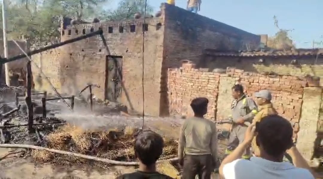 A house caught fire due to a short circuit, two cattle were burnt alive.