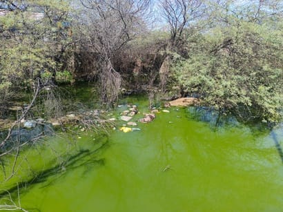 NGT makes National Mission for Clean Ganga a respondent in the issue of pollution in Sahibi River
