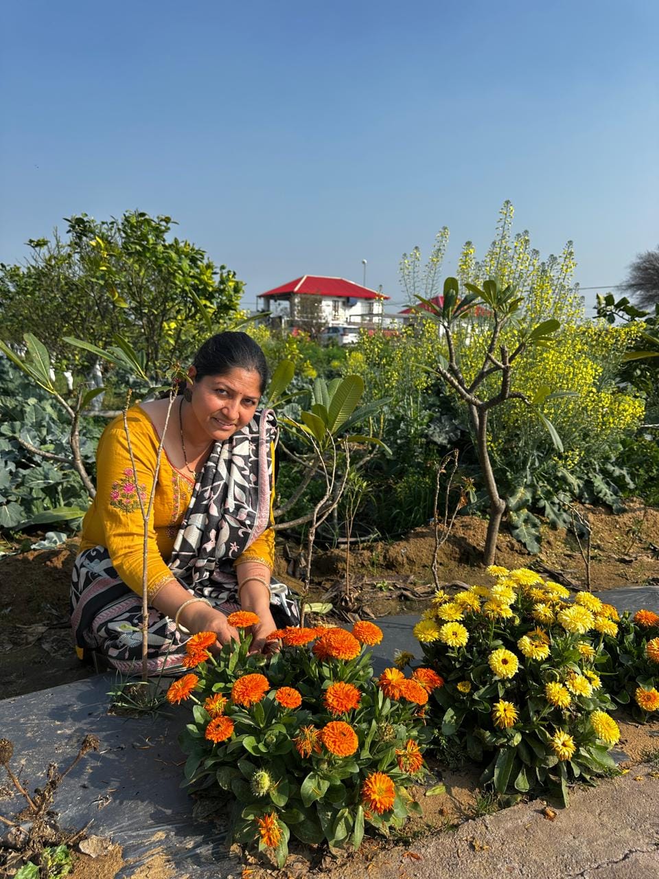 Inspired by her husband, Manju Grewal's garden brings fragrance to the garden.