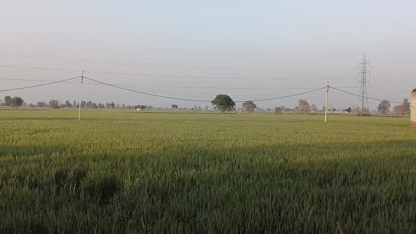 2171 acres of land will be purchased in Narwana for planned and modern urban development.