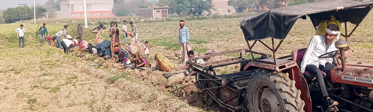 Market slowdown and smallpox hit, potato farmers face a loss on Holi