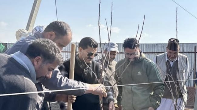 Srinagar, Sumbal, Tree Plantation Drive