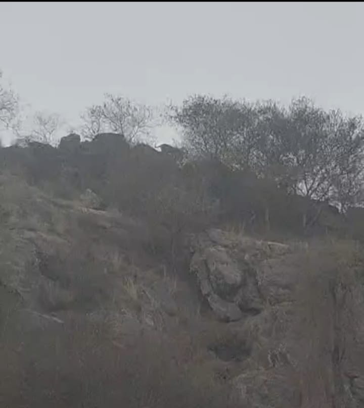 Leopard spotted again near densely populated area, panic grips village
