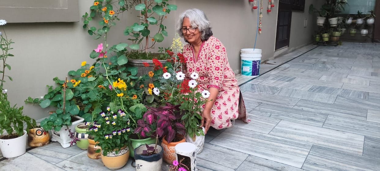 Seeing social media, Sunita created a garden on the rooftop