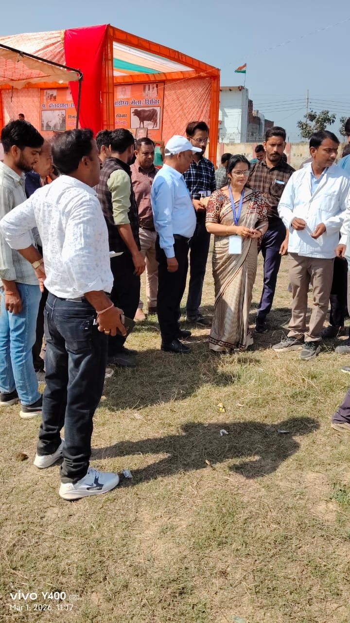 6725 cattle received treatment at the health fair.