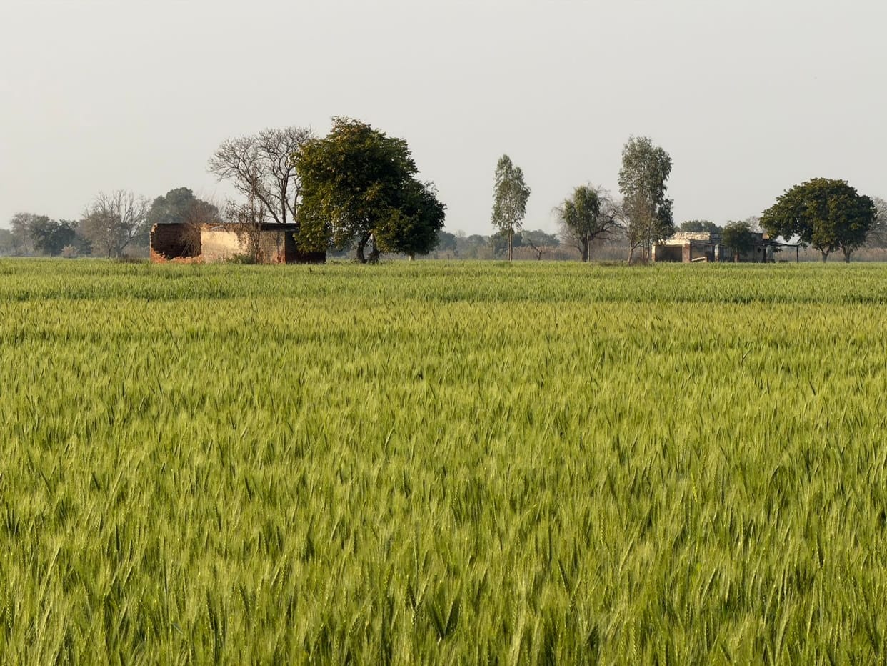 12,07,711 farmers of the state have registered 65,63,630 acres of land for Rabi crops.