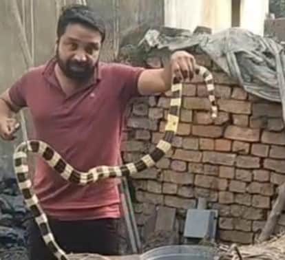 A 5 foot long poisonous Ahiraj snake had fallen into a 35 foot deep well two days agoit was rescued in Korba