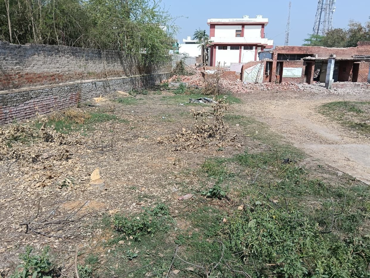 35 trees were cut for Krishi Bhawan, the department will plant 10 times more saplings.