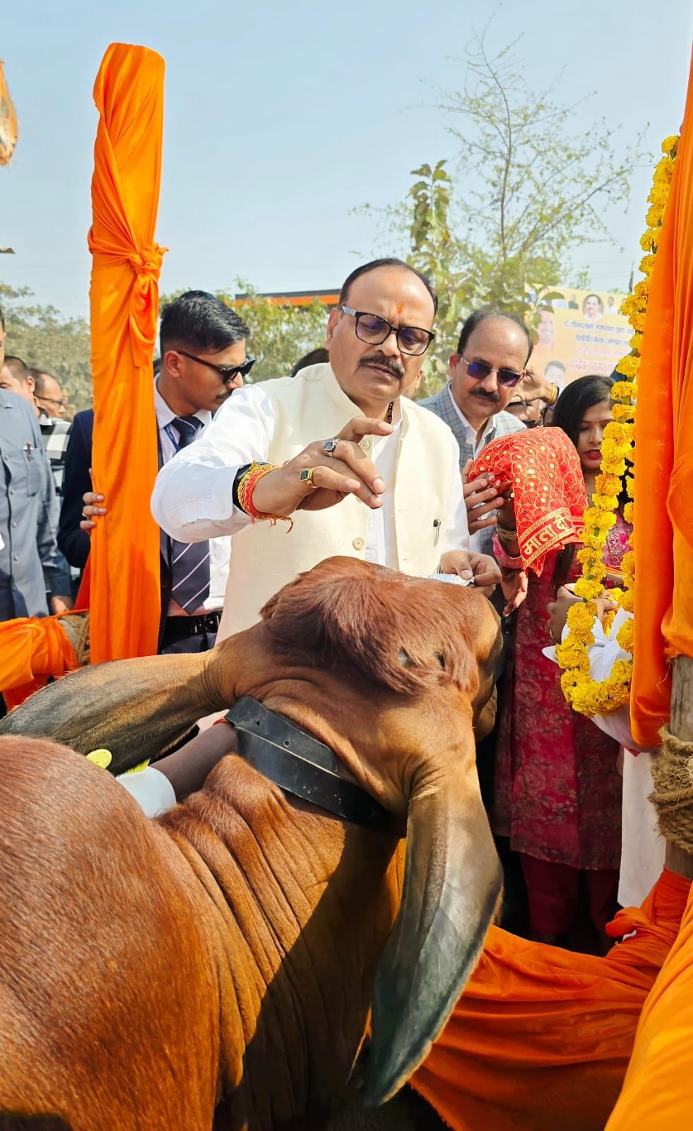 Veterinary medicine is as important as human medicine: Brajesh Pathak
