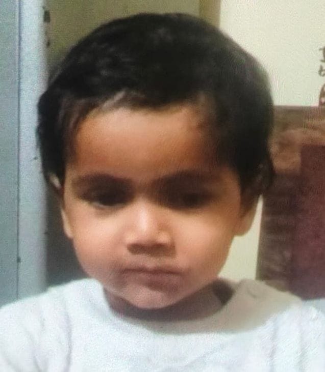 Mother and child die after being hit by a truck