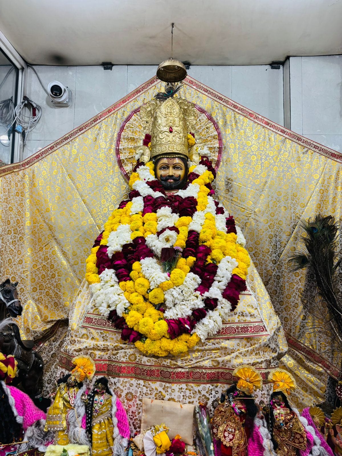 Shyam devotees gathered in Chulkana Dham on Dwadashi
