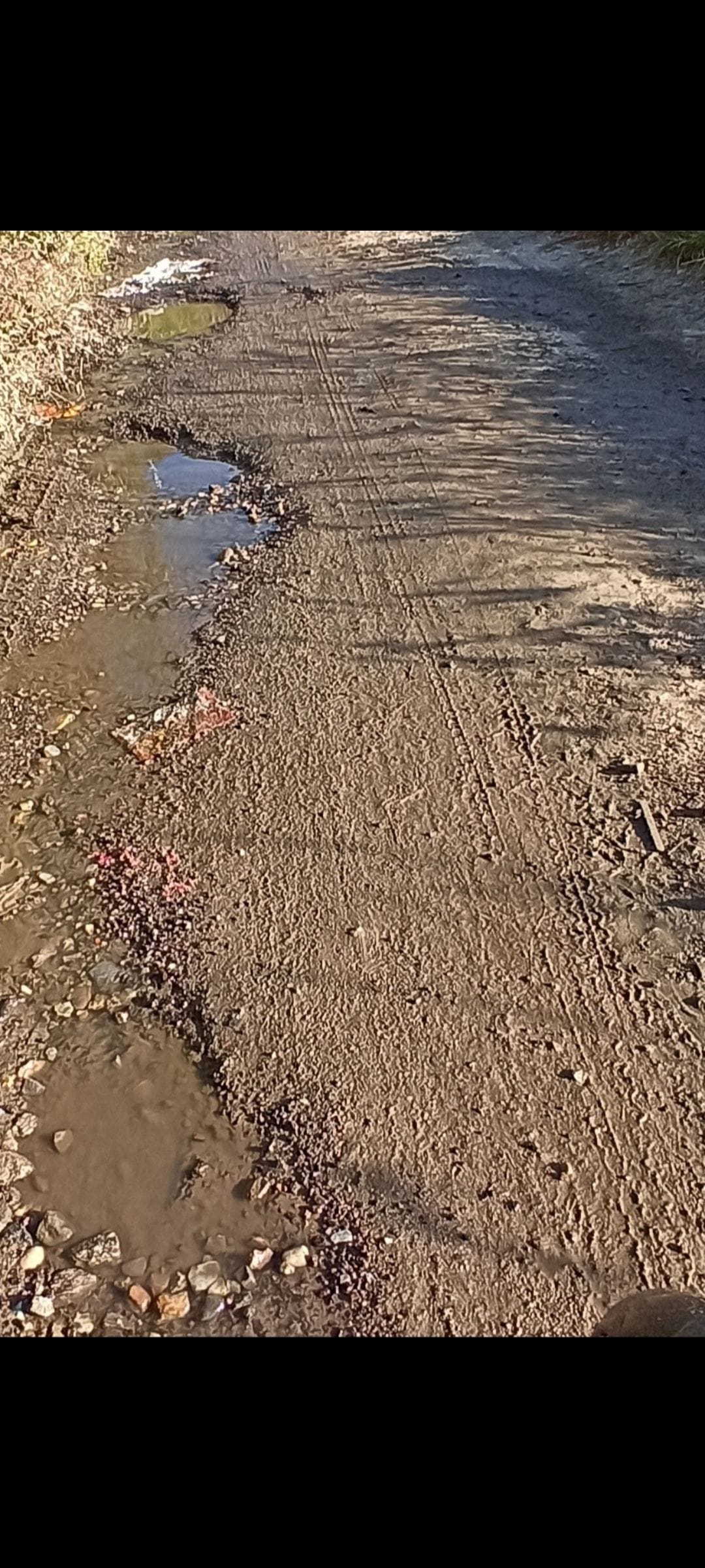 The Rivadi-Dalash road is full of potholes