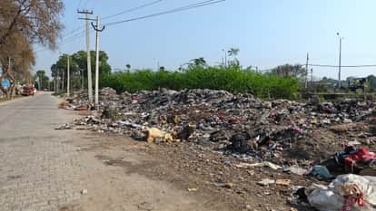 Dehradun: E-vehicles will now be used for garbage collection in new municipal bodies