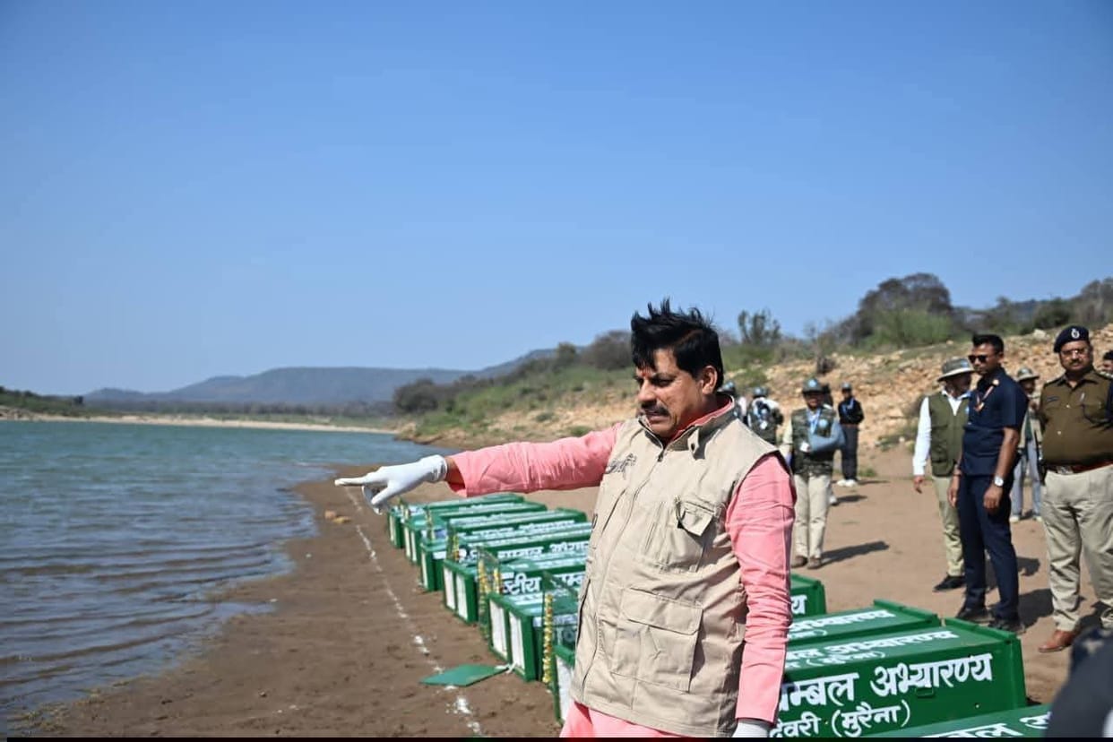 CM Mohan Yadav released alligators and turtles into the Kuno River