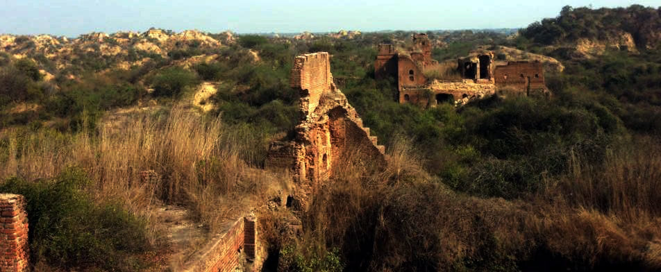 From the window of the past: 14 Holis were celebrated in the deserted Hathkant