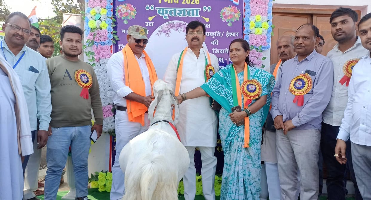 The Alice Festival and Goat Exhibition showcased the splendor of the animals.