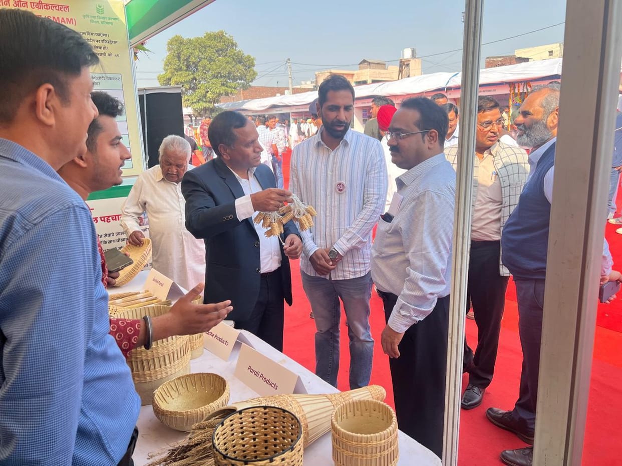 Farmers can make toys and lanterns from stubble