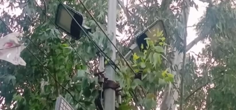 The corporation did not pay Rs 31 crore, the company approached the High Court.