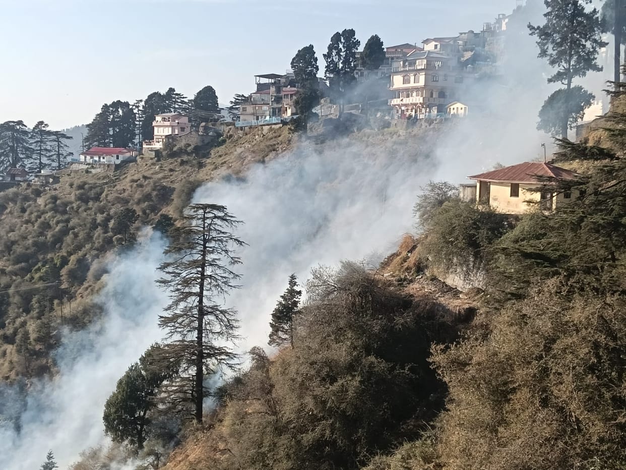 Fire broke out in bushes along the Chakrata-Kalsi road