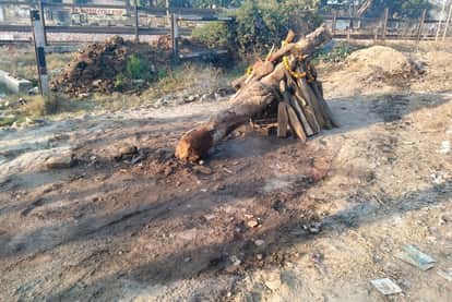 Holika caught fire from the puja lamp