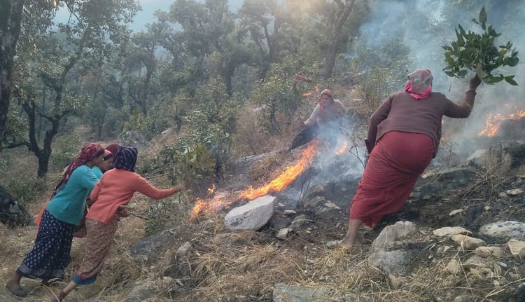 Chamoli: दो दिनों से जल रहे कंडारा और आदिबदरी के जंगल, मवेशियों के लिए चारापत्ती लाने में परेशानी