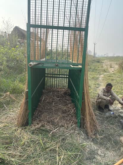 Teenager dies in leopard attack