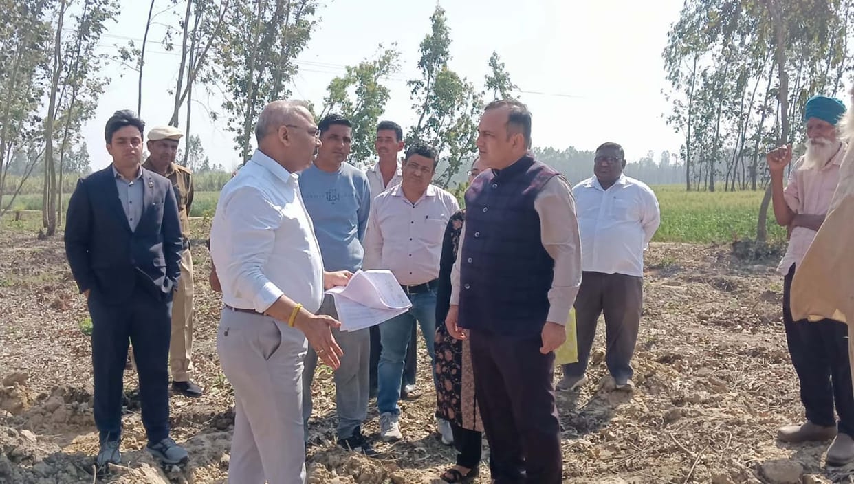 Investigation reveals cutting of more trees than bid