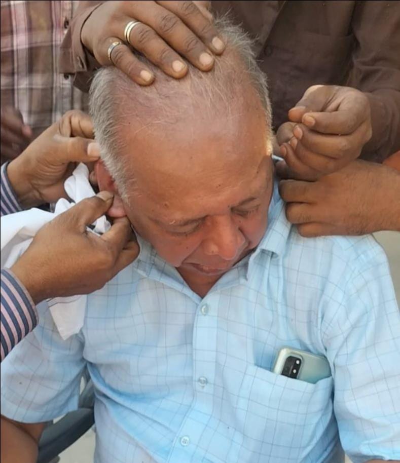 Bees sting tourists again in Sarnath, five injured