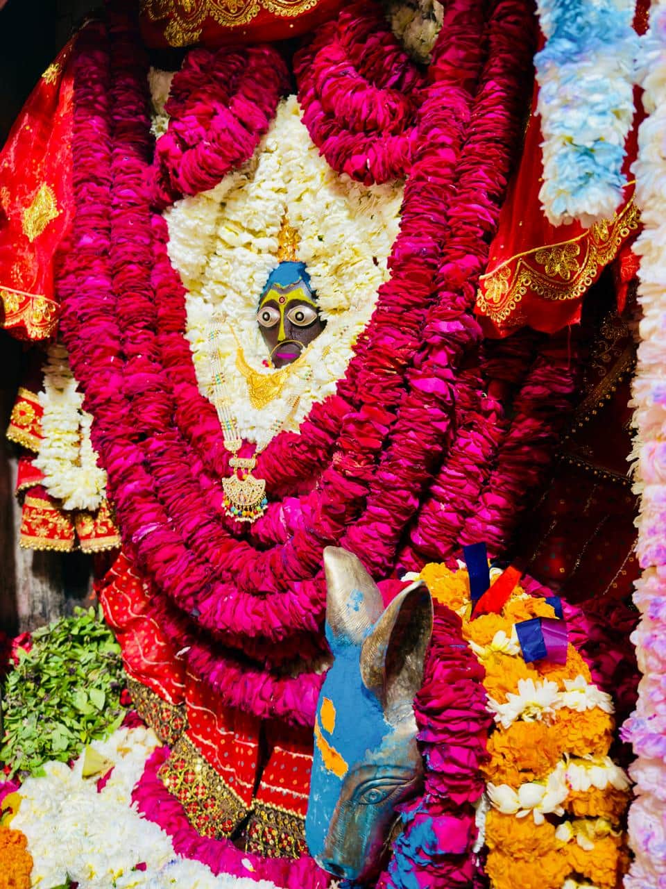 शीतलाअष्टमी