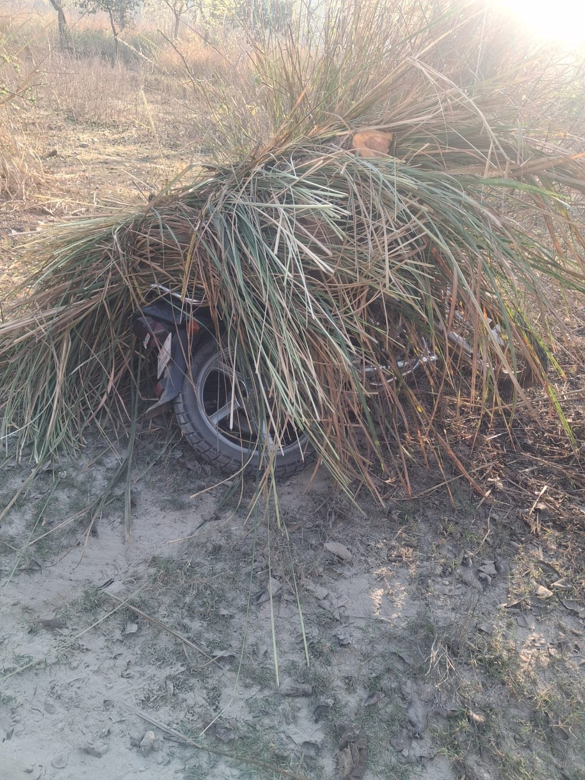 Khair wood seized along with bike