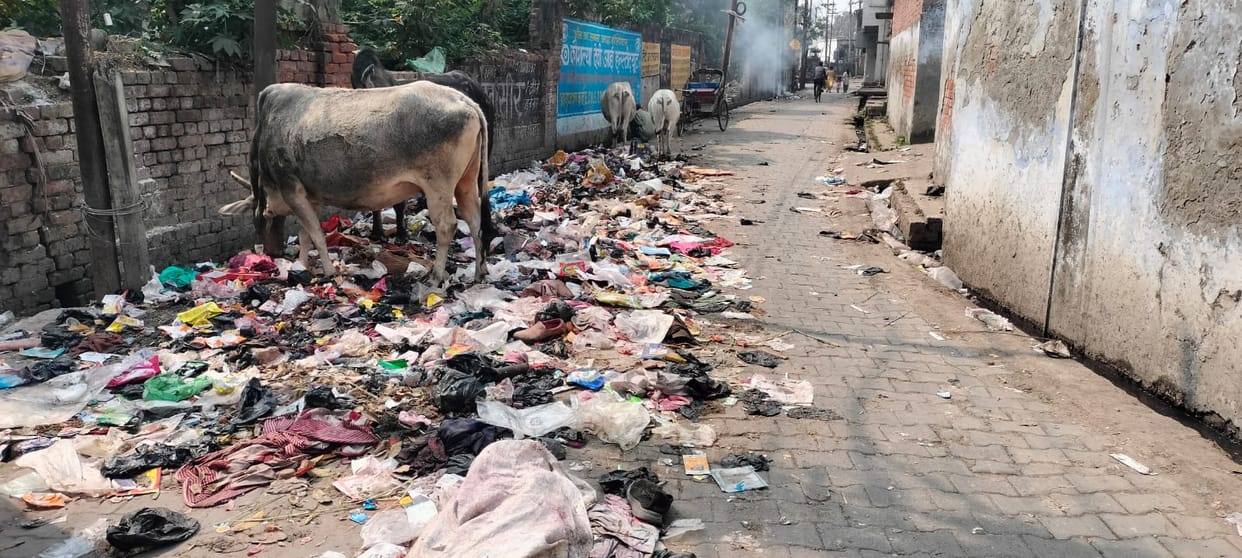 The day after Holi, the sanitation system was disrupted.