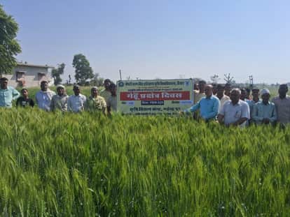 Under the Wheat Field Day, people were made aware of advanced agricultural practices.