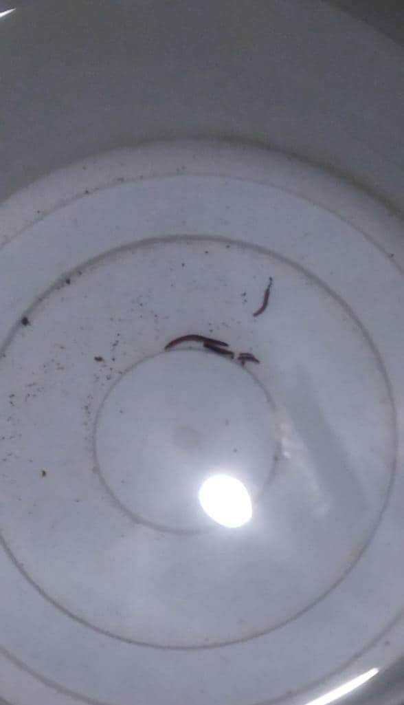 गढ़ नगर में टंकी से निकला दूषित पानी। संवाद