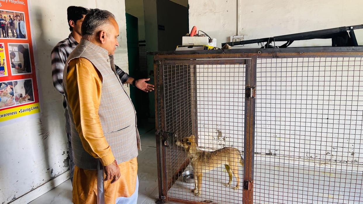 One thousand dogs were sterilized and 1500 were vaccinated: Dr. Abhishek