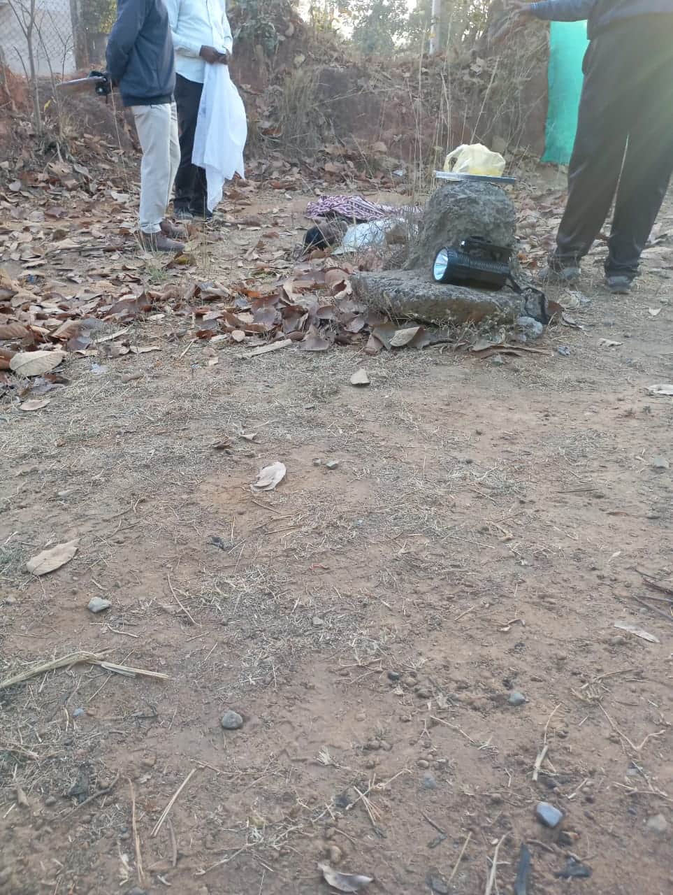 जंगली हाथी का कहर