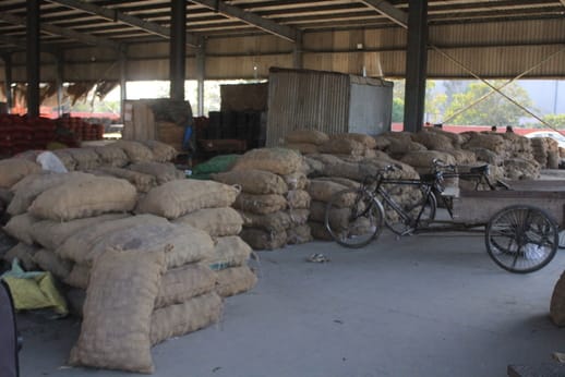Farmers forced to sell potatoes at one to two rupees per kg