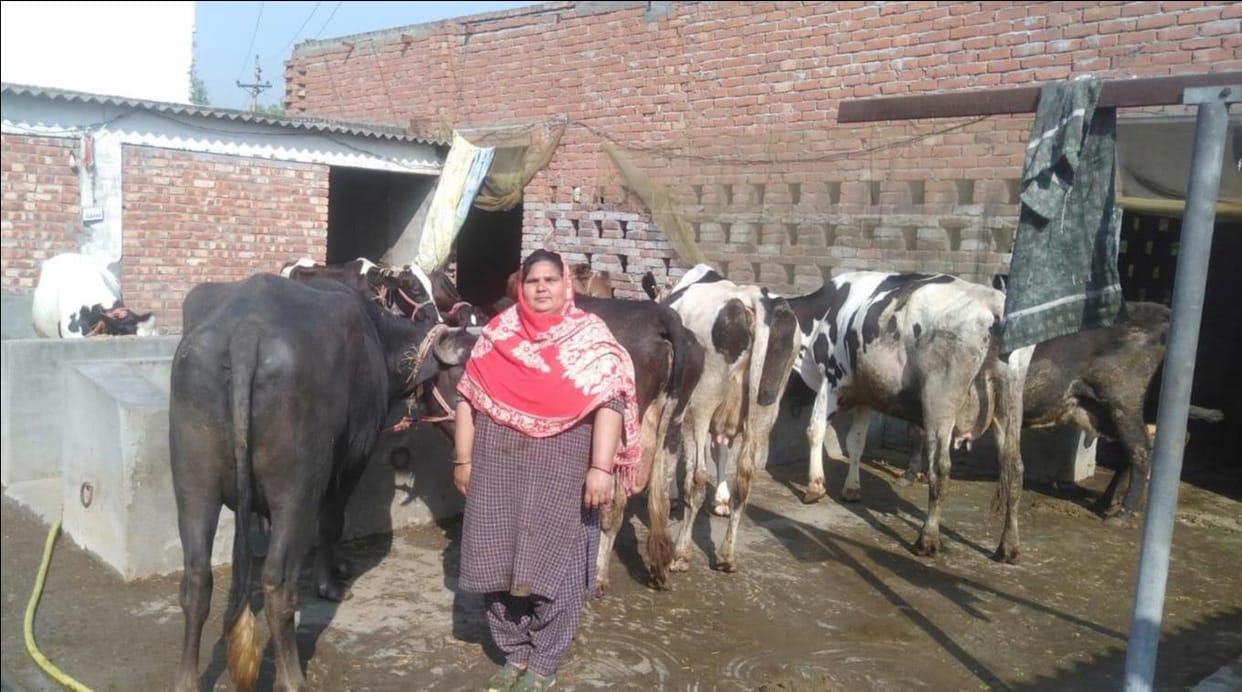 Women of Megha group changed their destiny