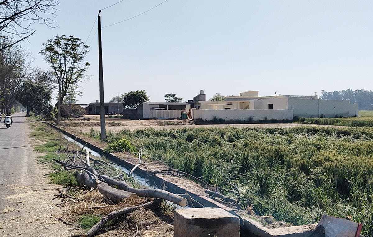 Laborer dies of electrocution while cutting a tree